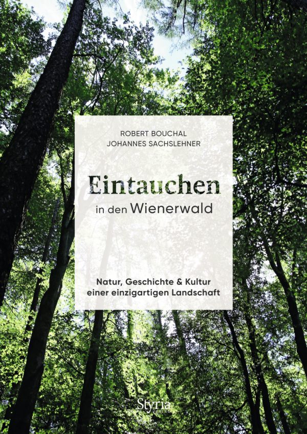 - Eintauchen in den Wienerwald