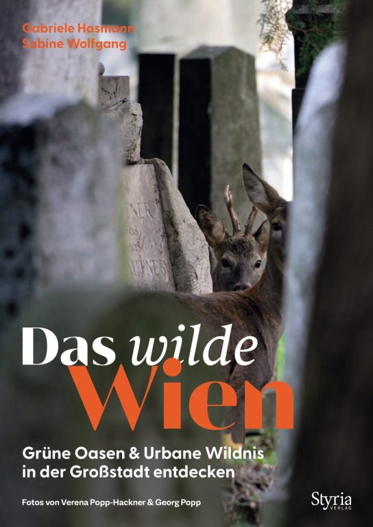 - Das wilde Wien