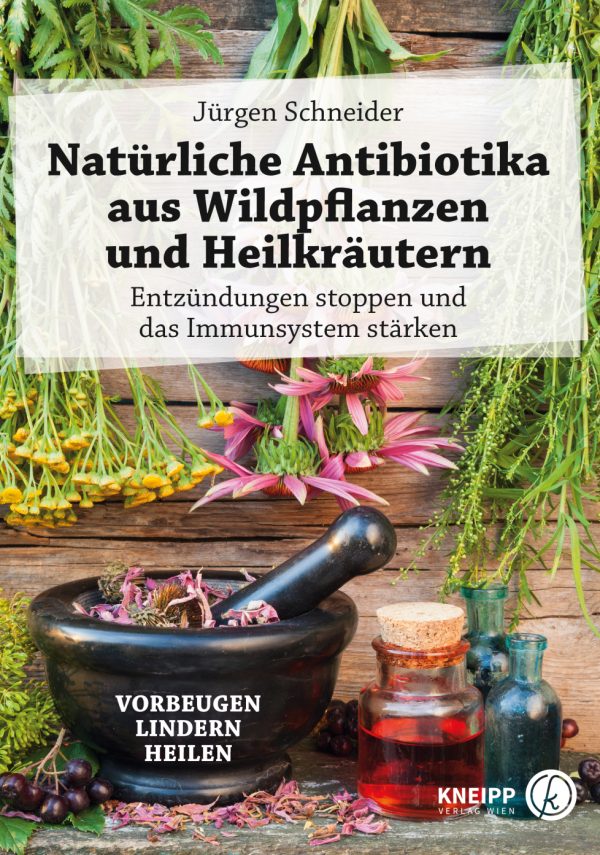 9783708807133 - Natürliche Antibiotika aus Wildpflanzen und Heilkräutern