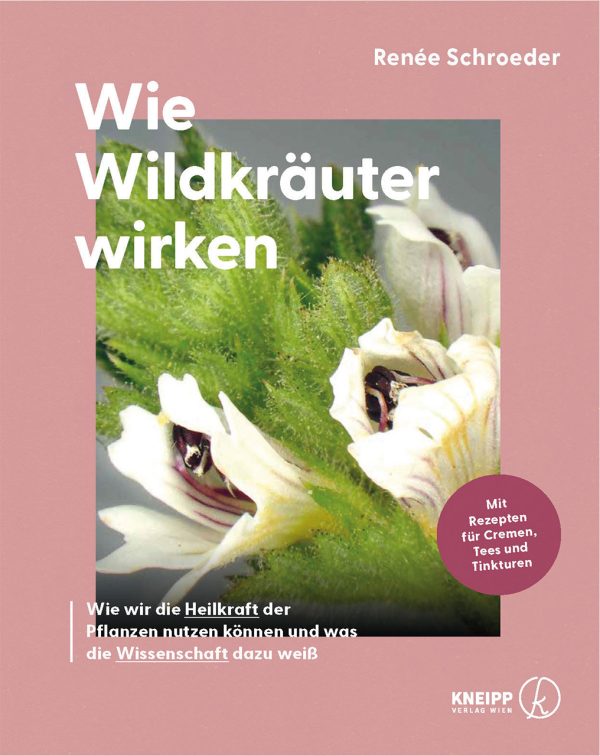 Wie Wildkräuter wirken